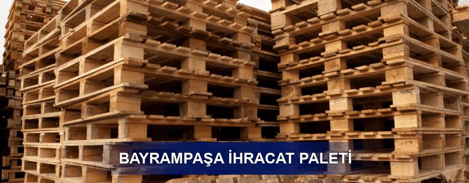 Bayrampaşa ISPM 15 Seçimi
